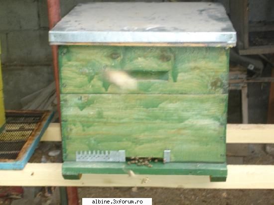 vand urgent 50 familii albine, cutie 10 r dadant 1-2 ani vechime. pret 200 lei / buc
mob. 0721 366