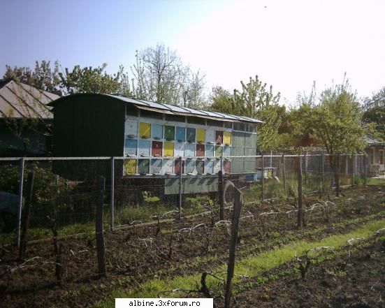 Pavilion apicol pregatit pentru pastoral - Vind pavilion apicol inmatriculat - VANZARI ECHIPAMENTE APICOLE
