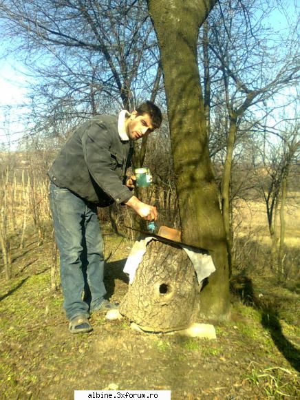 nuclee din polistiren - da dar sa nu il roda sorecele - STUPI