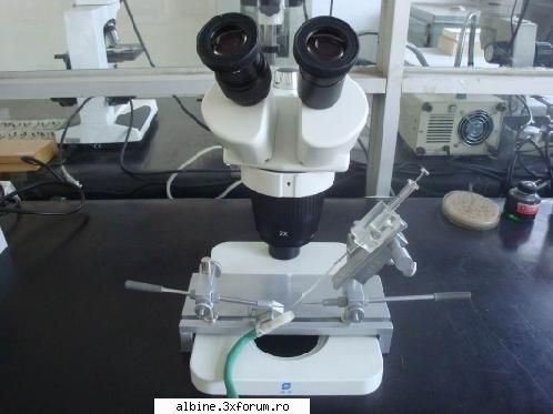 aduc numai pe comanda echipament de inseminare albine vand matci